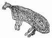 Das Ungeheuer Bunyip Das Ungeheuer Bunyip