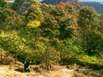Wie der Mount Jim Crow entstand