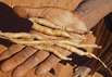 Black Snake Mann und seine Frau Kolet Black Snake Mann und seine Frau Kolet