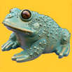 Die Froschlegenden in Australien Die Froschlegenden in Australien