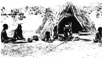 Arboriginal Camp