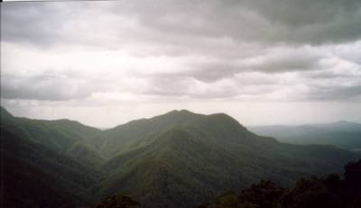 Dorrigo Nationalpark