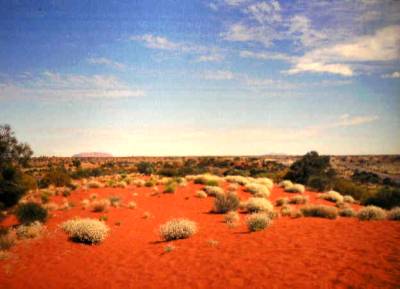 Great Sandy Desert