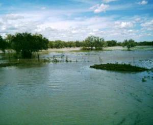 Hochwasser bei Newcastle Waters