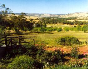 Swan Valley