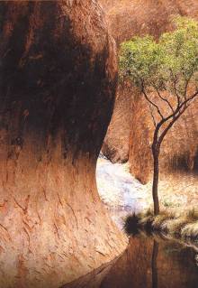 Waterhole Kantju