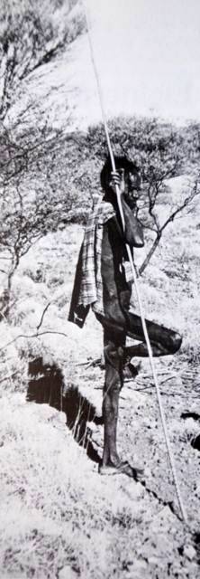 Aboriginal Kriger mit Speer