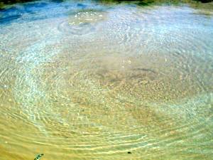 Wasserl&ouml;cher wie hier bei Spring Mounds als Lebensraum der Regenbogenschlange