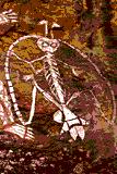 Wandmalerei Namarrgon