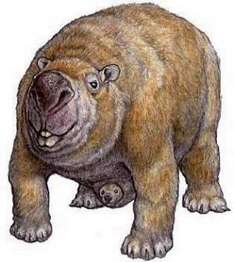 Urzeitwesen Diprotodon