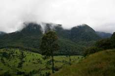 Die Hundelegende des Bundjalung People