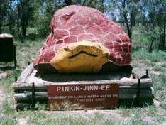 PINKIN-JINN-EE der Schildkröten-Stein