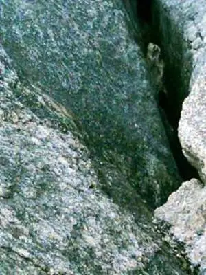 Albany Blow Holes