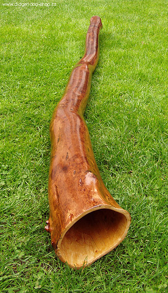 Einfaches Didgeridoo ohne Bemalung